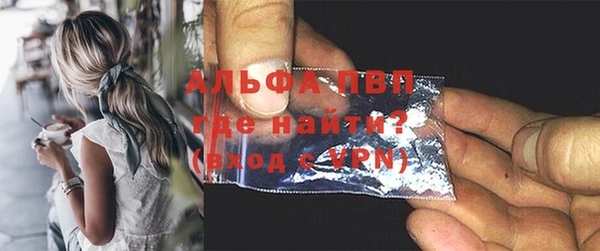 сатива Вязьма