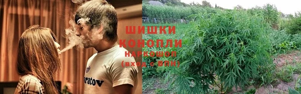 метадон Инсар
