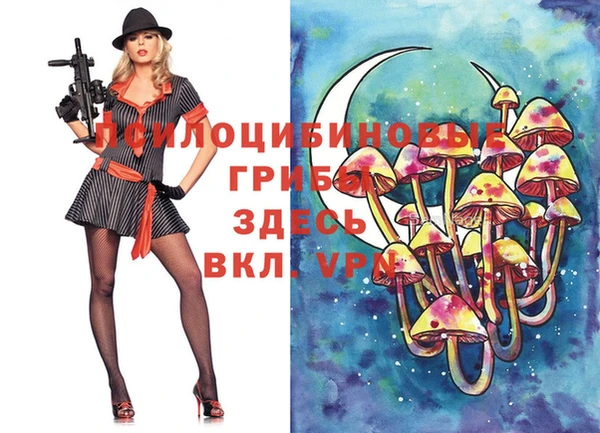 амф Вяземский