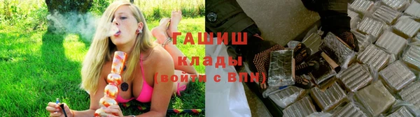 винт Лабытнанги