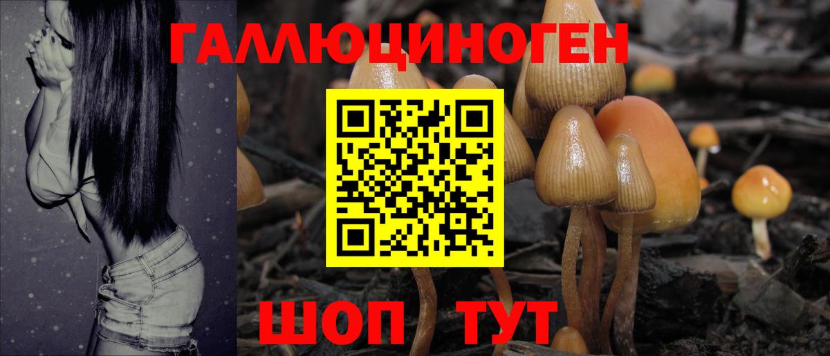 Заинск  Галлюциногенные грибы прущие грибы  Вход с VPN 